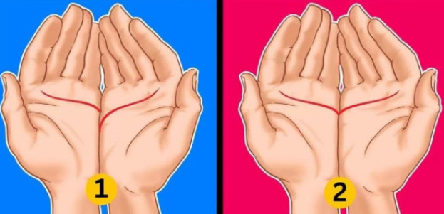 Linija srca otkriva vaše skrivene osobine: Dlanovi govore da li ste magnet za ljude ili odbijate i sami sebe - featured image Linija srca otkriva vaše skrivene osobine: Dlanovi govore da li ste magnet za ljude ili odbijate i sami sebe - featured image