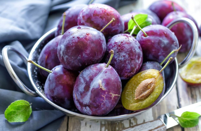 Evo zašto ljudi stariji od 60 godina treba da jedu šljive: Uradite ovako i creva će vam raditi kao sat – tvrdi doktor - featured image Evo zašto ljudi stariji od 60 godina treba da jedu šljive: Uradite ovako i creva će vam raditi kao sat – tvrdi doktor - featured image