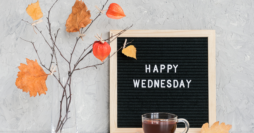 Untitled design - 2025-10-29T000709.265