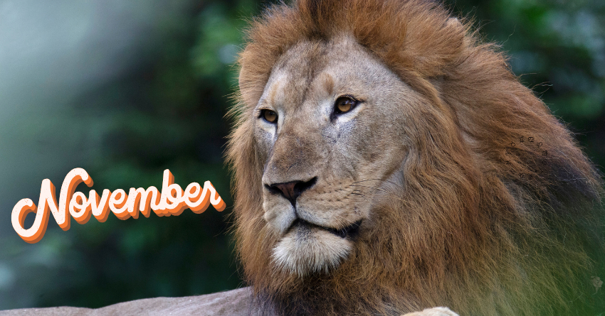 Untitled design (77)