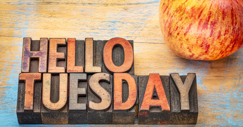 Untitled design (85)