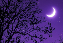 MLAD MESEC U VODOLIJI JE DANAS! Novi život počinje za OVE znakove – SADA SE OSTVARUJU SVE ŽELJE!