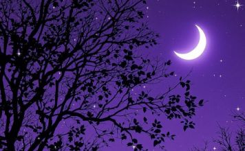 MLAD MESEC U VODOLIJI JE DANAS! Novi život počinje za OVE znakove – SADA SE OSTVARUJU SVE ŽELJE!