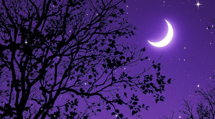 MLAD MESEC U VODOLIJI JE DANAS! Novi život počinje za OVE znakove – SADA SE OSTVARUJU SVE ŽELJE!